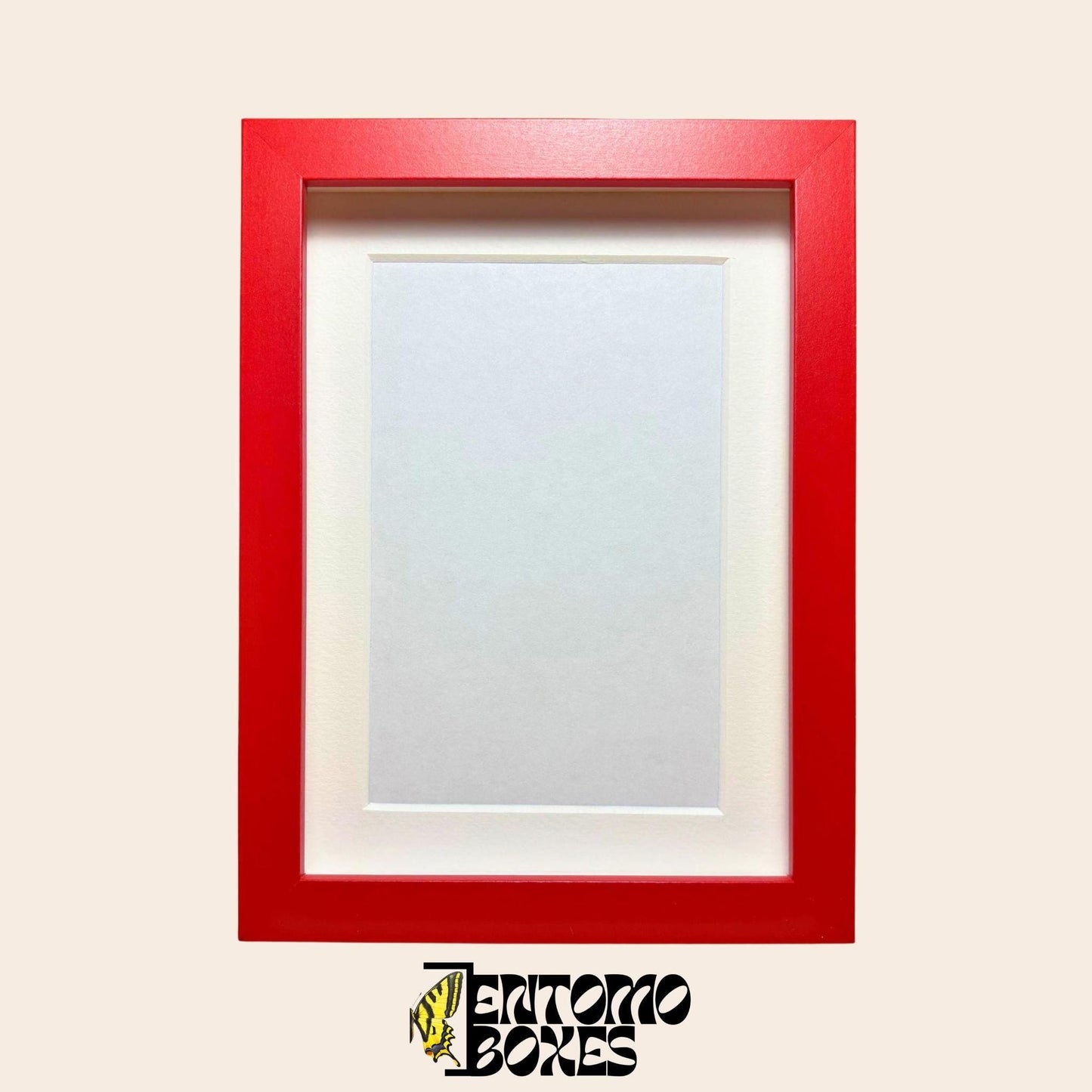 DEEP shadow boxes frames pour insecte papillons vitrine pour entomologie taxidermie