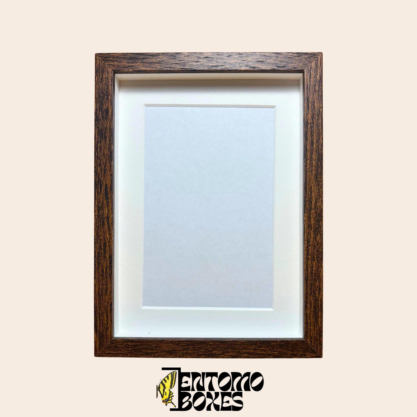 DEEP shadow boxes frames pour insecte papillons vitrine pour entomologie taxidermie
