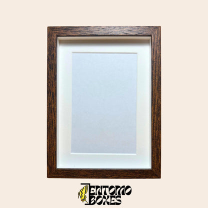 DEEP shadow boxes frames pour insecte papillons vitrine pour entomologie taxidermie
