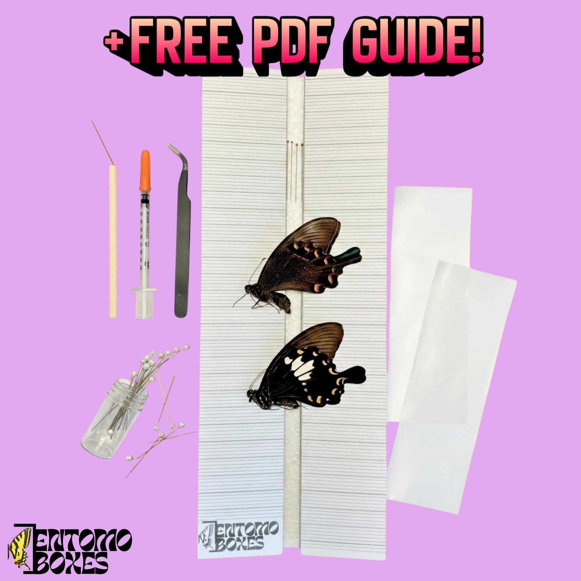 papillon collection kit débutant avec all you need