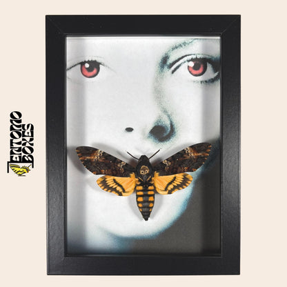 deaths head hawkmoth in frame with silence of the lambs motive __etsy:7822678330