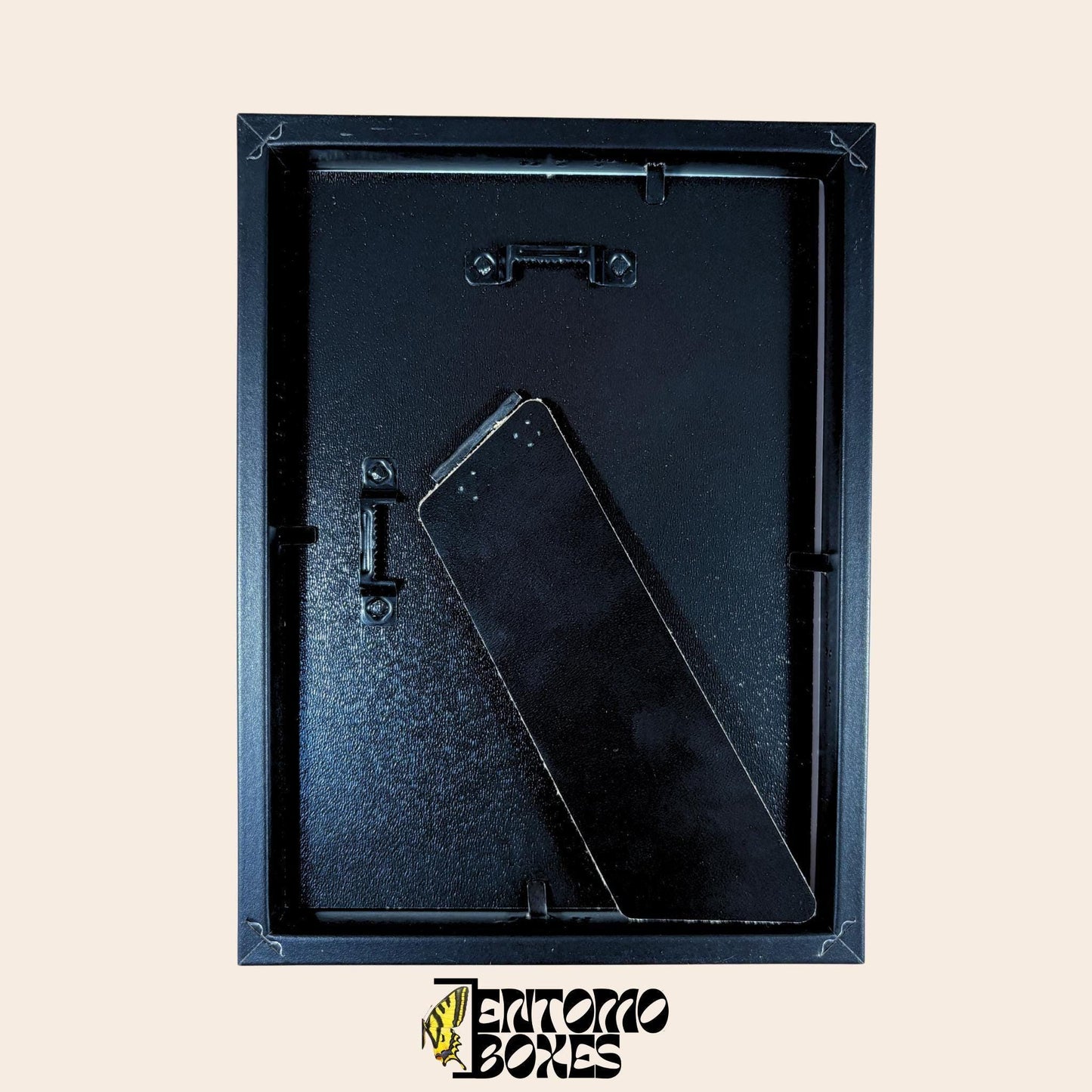 black insect shadow box __etsy:7822678464