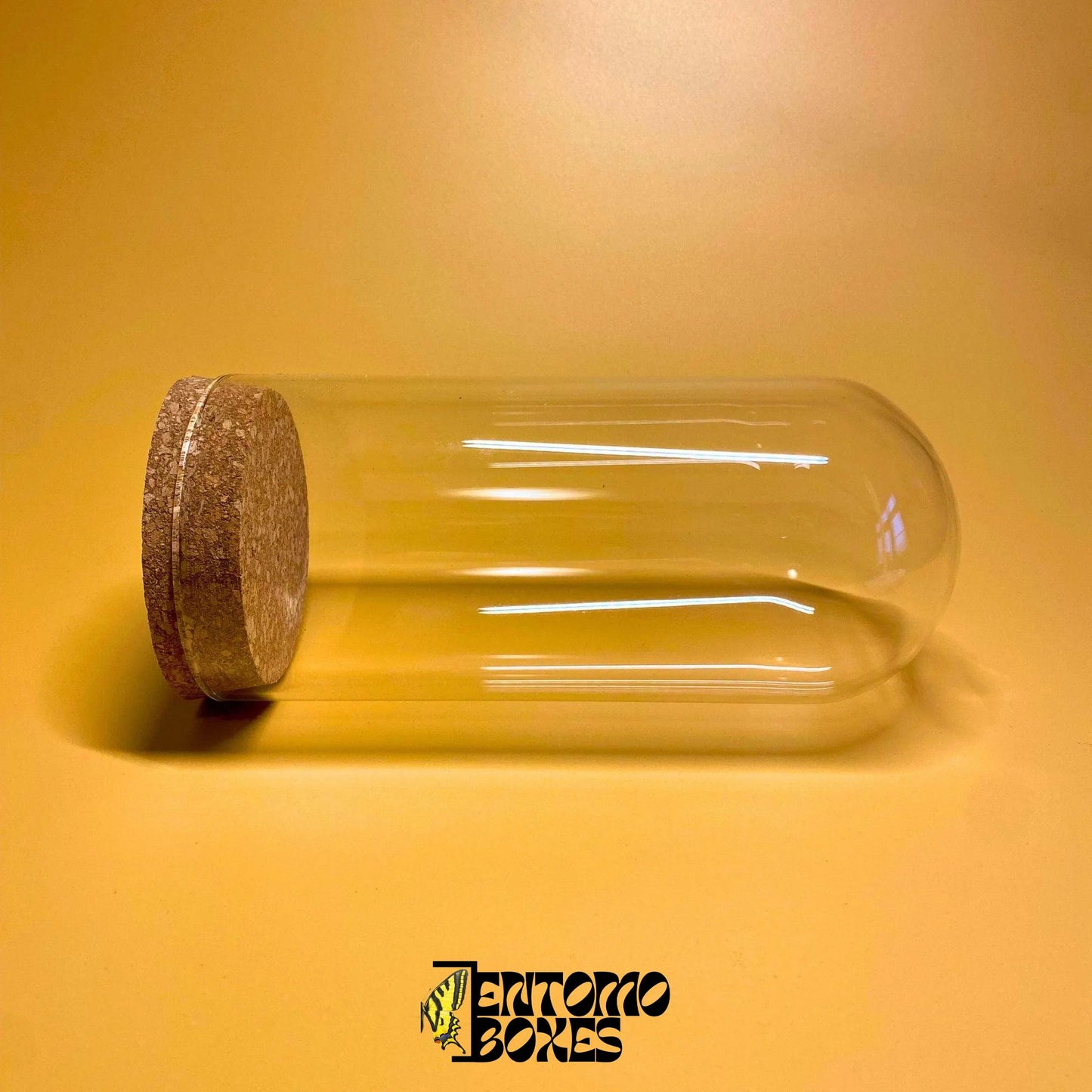 closed glass dome avec corck lid