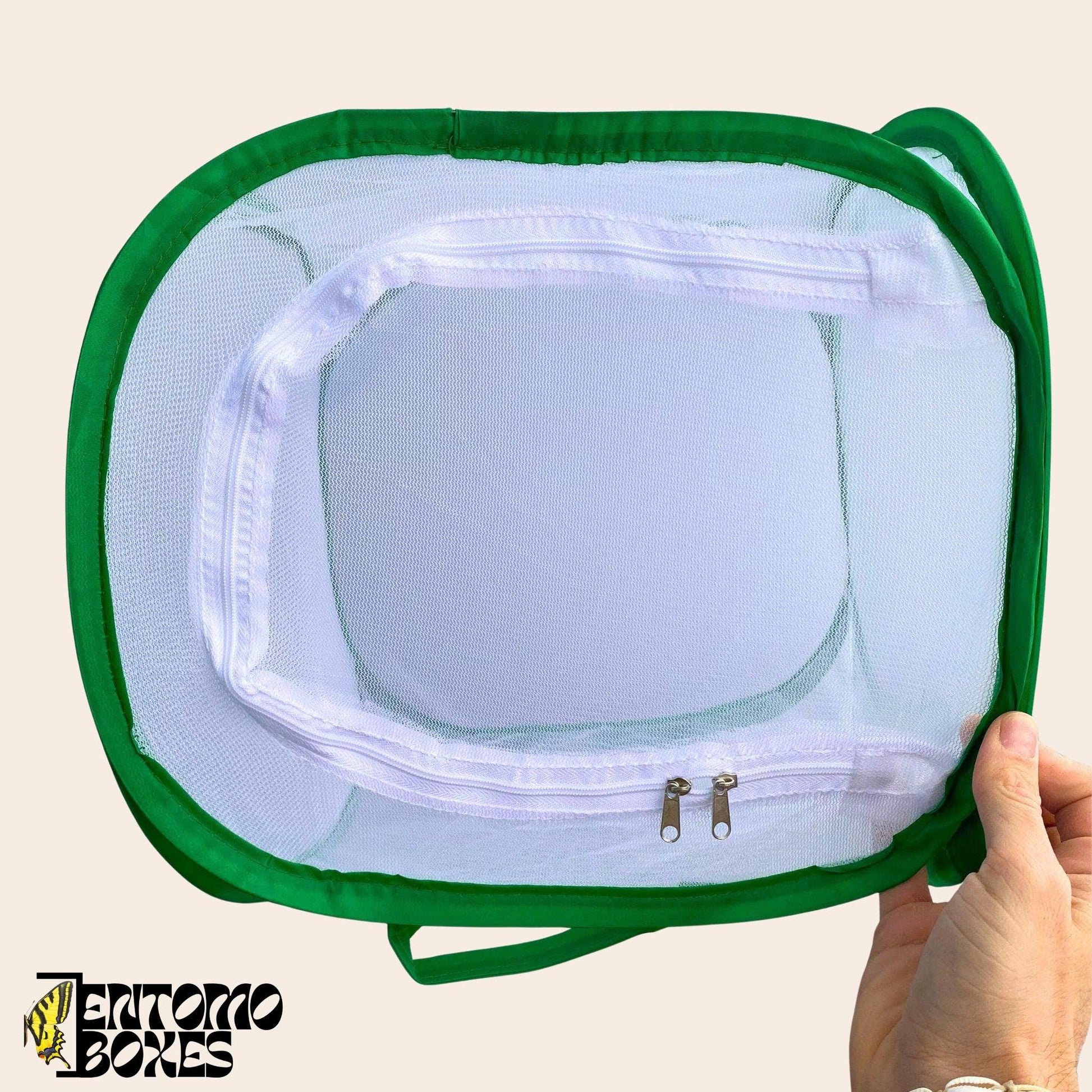 insecte breeding net cage
