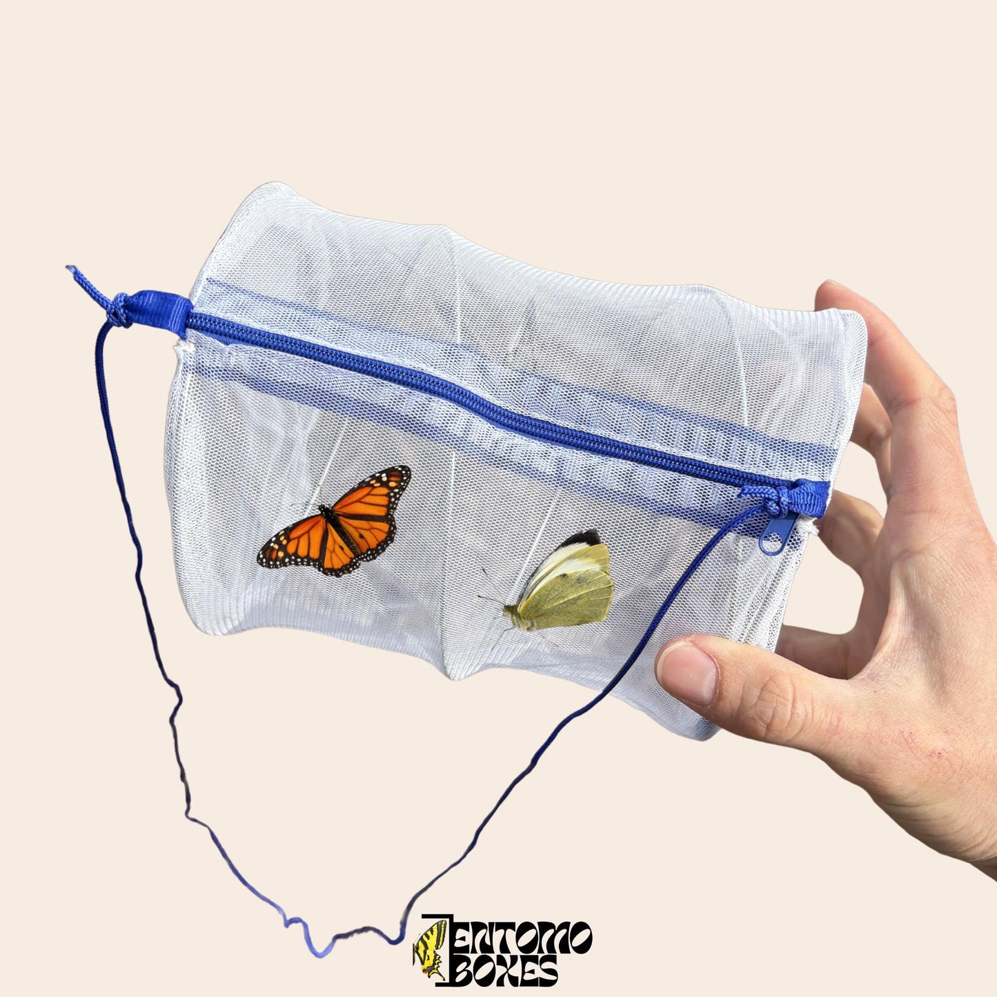 collapsible insecte field net cage