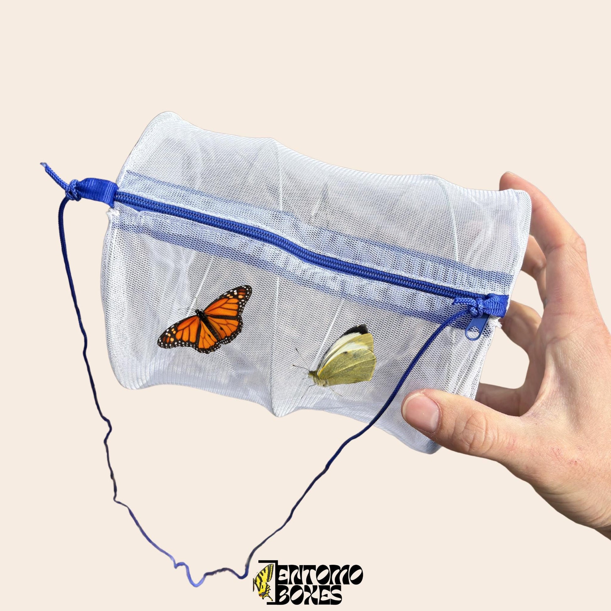 collapsible insecte field net cage
