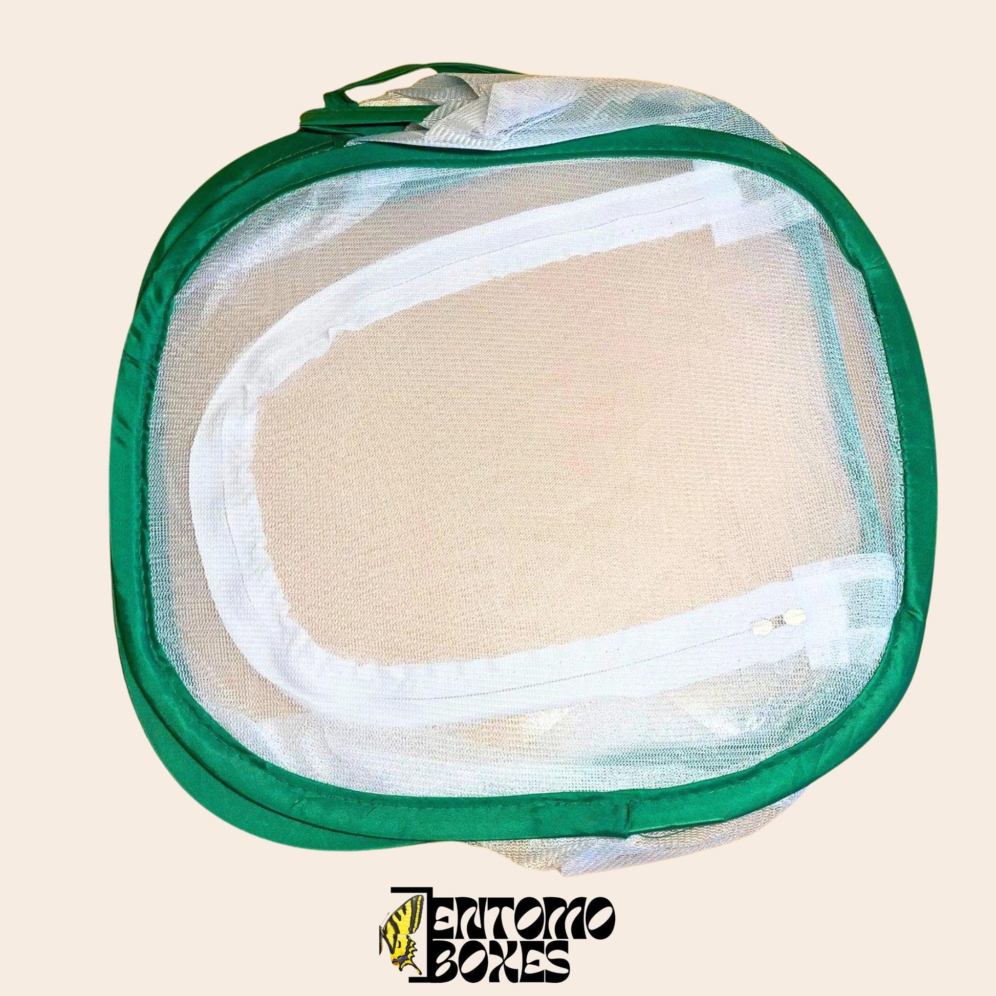 papillon breeding net cage