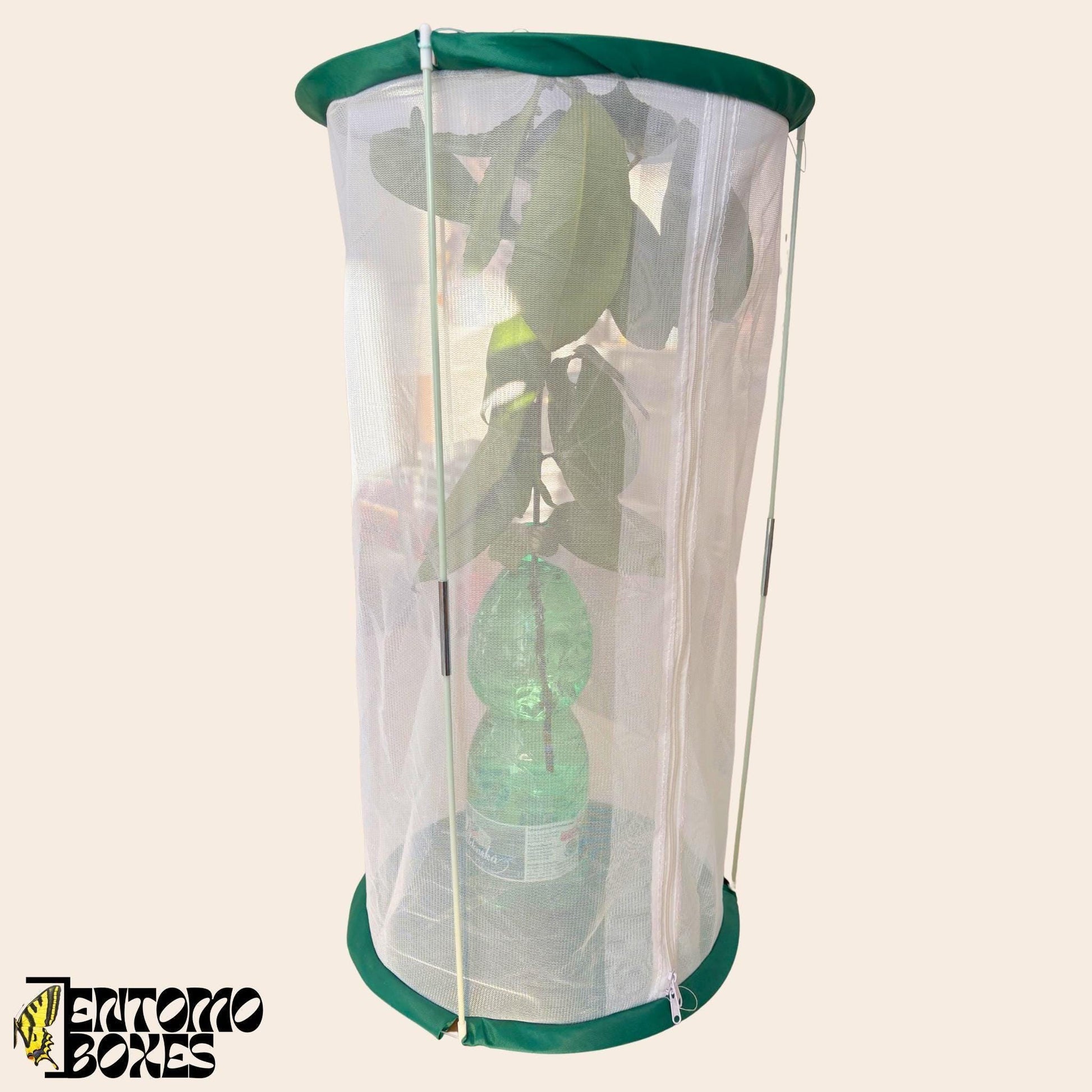 moth cylindrical breeding cage made out of mesh material (etsy image id: 7982543812)