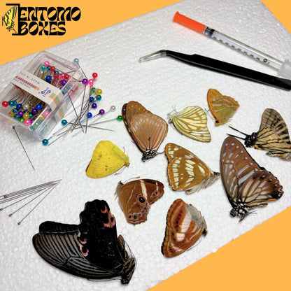 photography butterfly pinning kit (etsy image id: 8005370601)