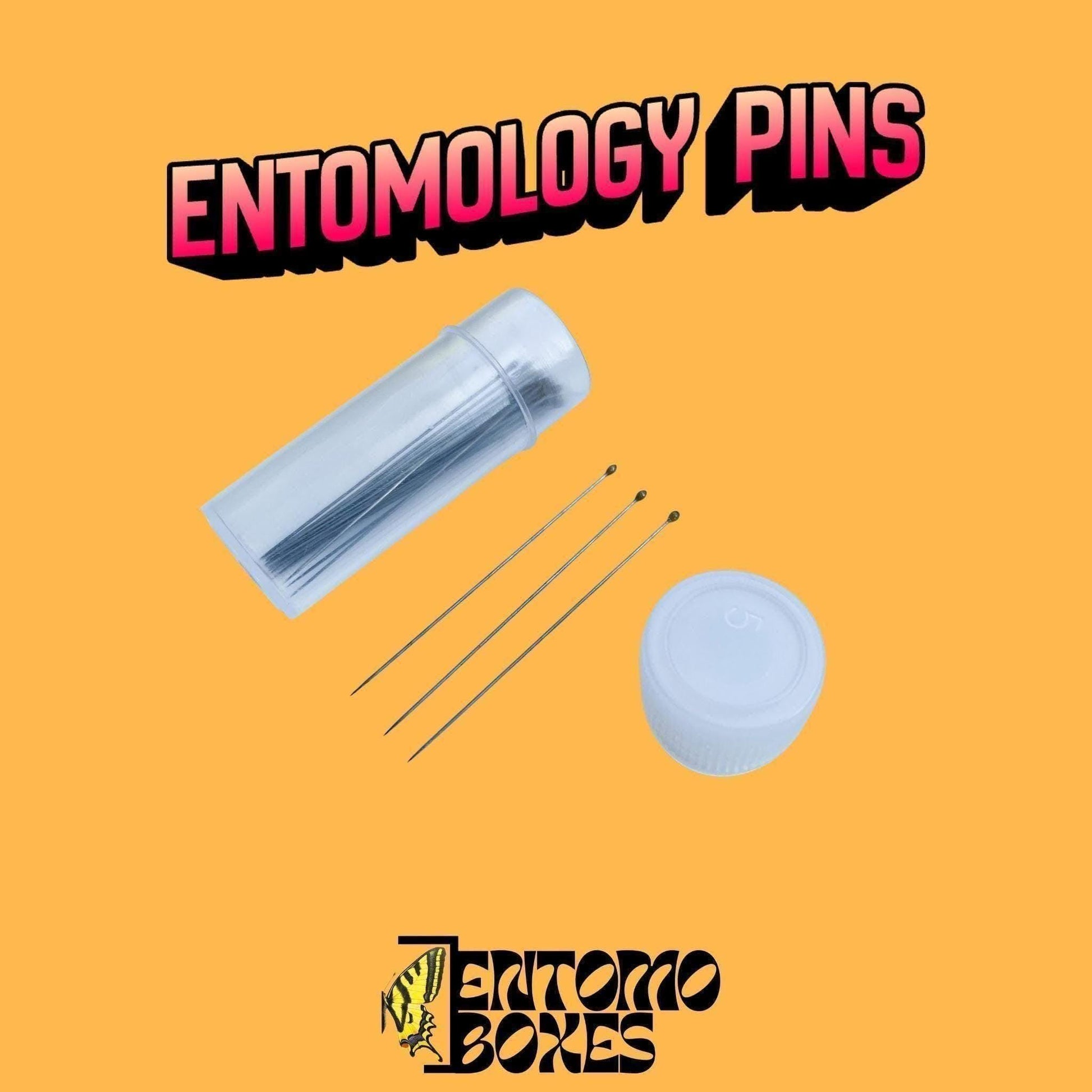 épingles entomologiques inoxydables pour mounting papillon et insecte spécimens in collection entomologique