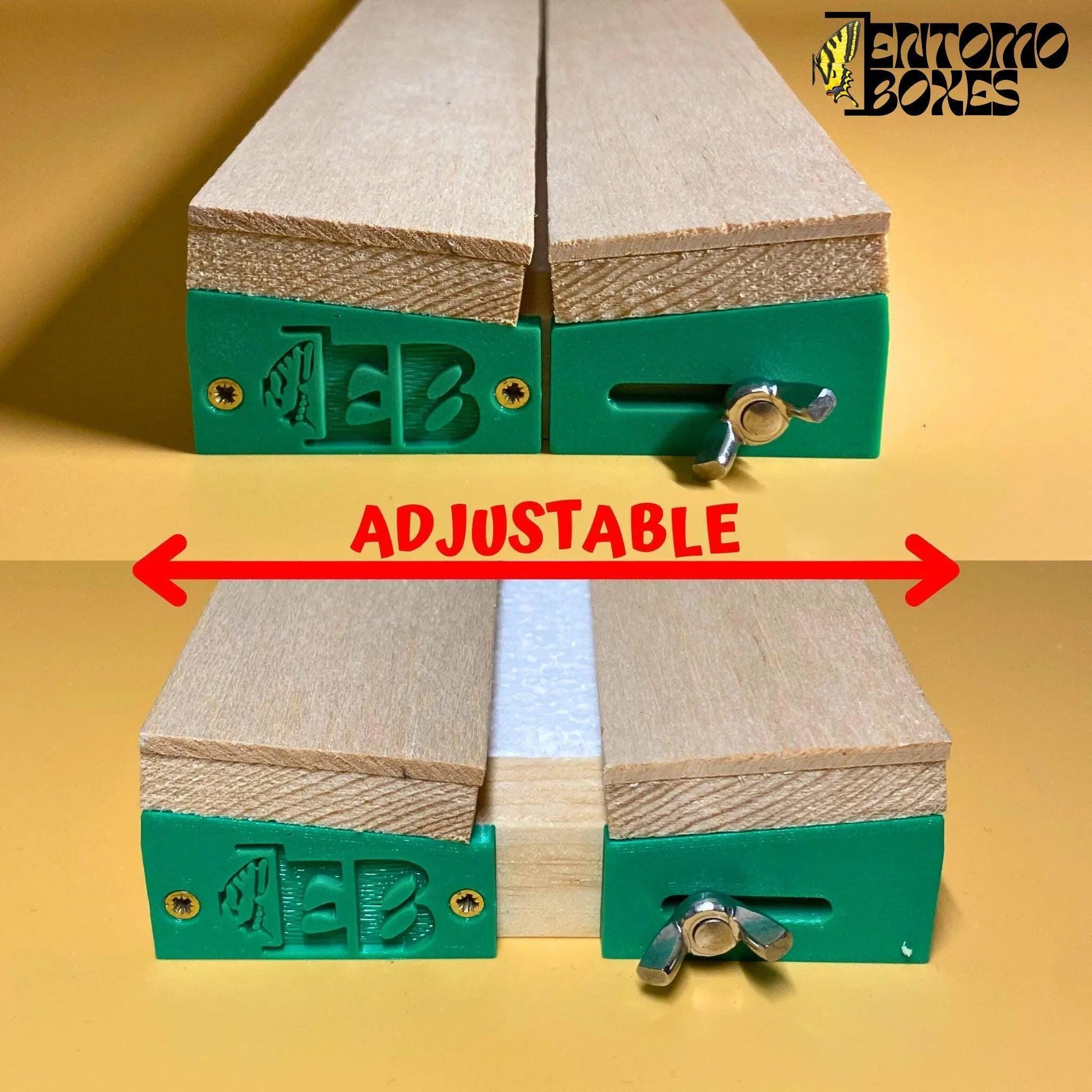 étaloir à papillons réglable d'EntomoBoxes