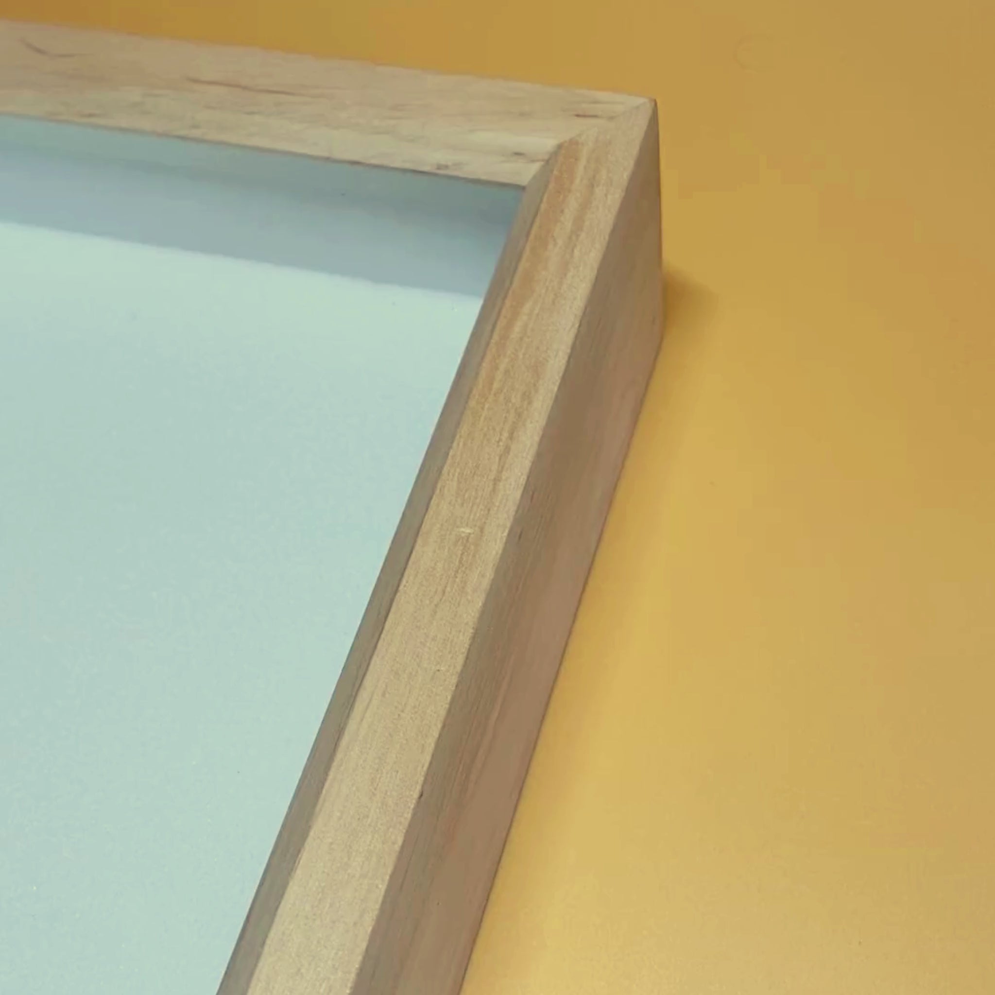 insect display frame