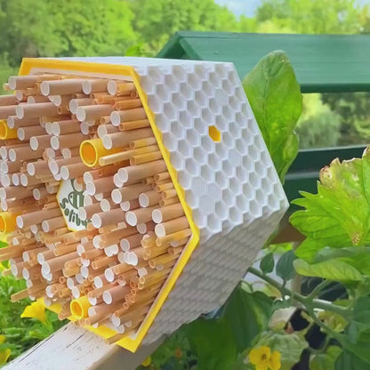 SoliBuzz Hôtel à insectes